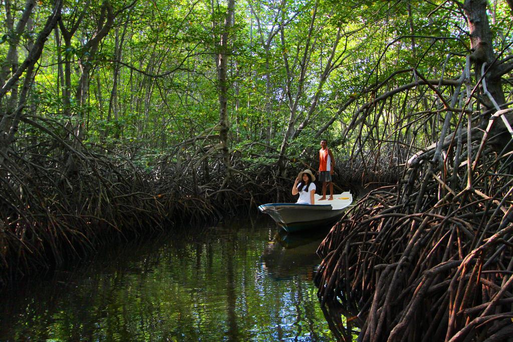 Mangrove Paradise Retreat Lembongan Esterno foto